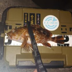 釣り納めの大失態