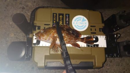 釣り納めの大失態