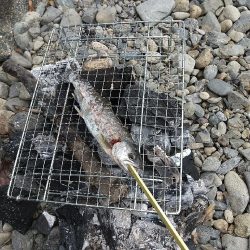 美味しいアマゴを釣りに☆