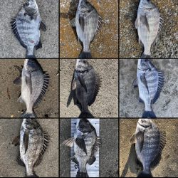 イチノ兄弟（兄）釣果！