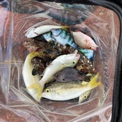 初めての沖縄！