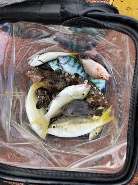 初めての沖縄！