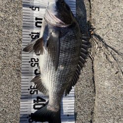 イチノ兄弟（兄）釣果！