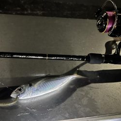 夫婦で釣りに行ってきました