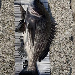 イチノ兄弟(兄)釣果!