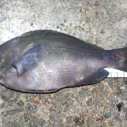 今年のラストは？