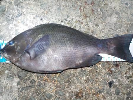 今年のラストは？