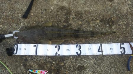 絶不調からのマゴチ！