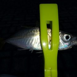 ツ抜けチャレンジ