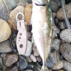 ショアジギング