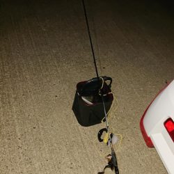 今年はアジ当たり年!?