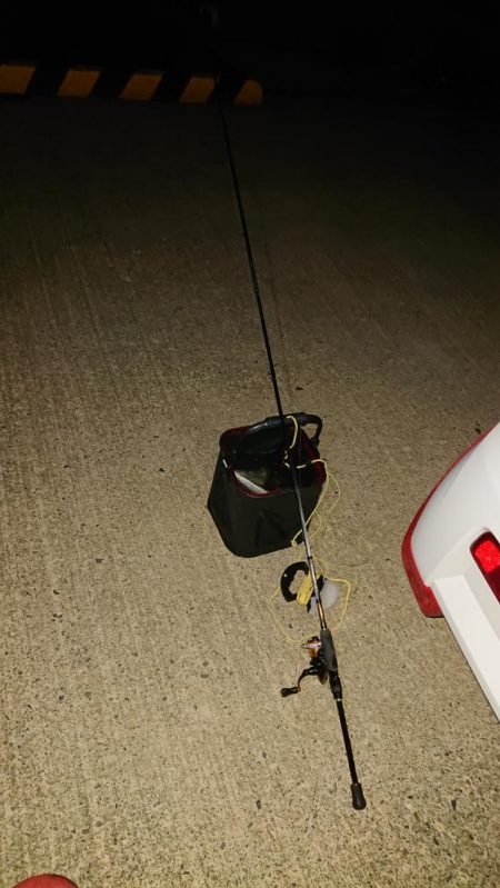 今年はアジ当たり年!?