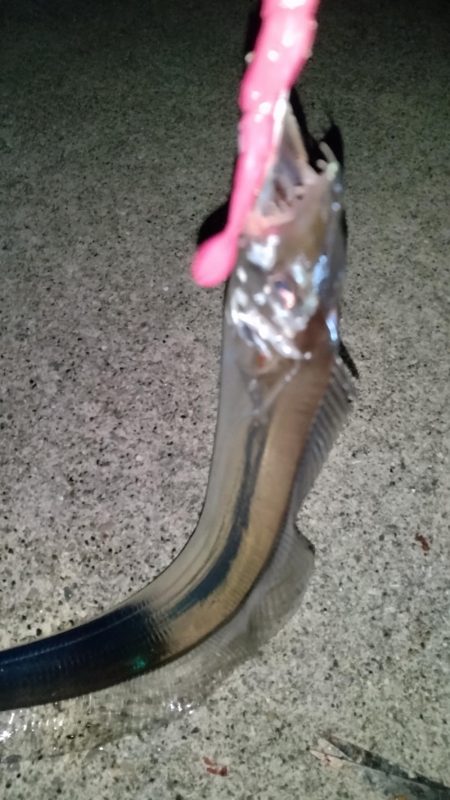 クーラーいっぱい