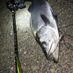 風速13mの大時化の中