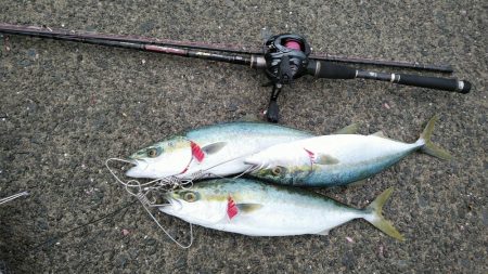 時化て波が岩場に当たる中よく見たら