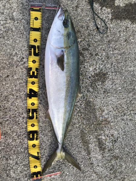 そろそろ終わりかなぁ?どうやろかなぁ〜