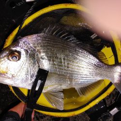 ズル引きチニング