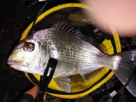 ズル引きチニング