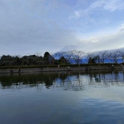 半年ぶりに魚を釣りました。