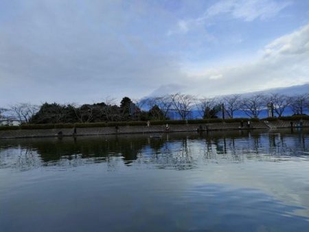半年ぶりに魚を釣りました。