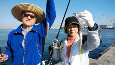 播磨新島のキス情報