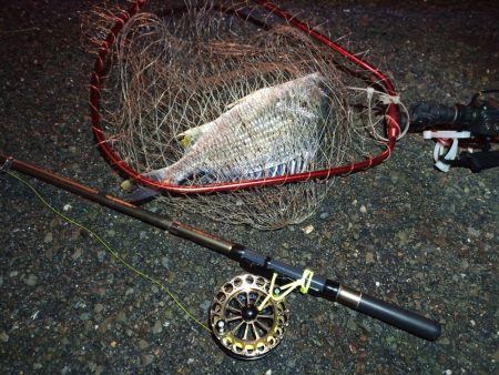 2022/12/26 南港ヘチ釣り釣行