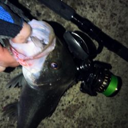 ぶら小河川調査！