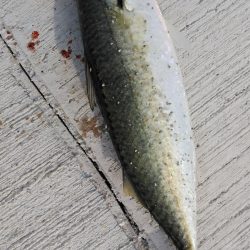 ラストスパート