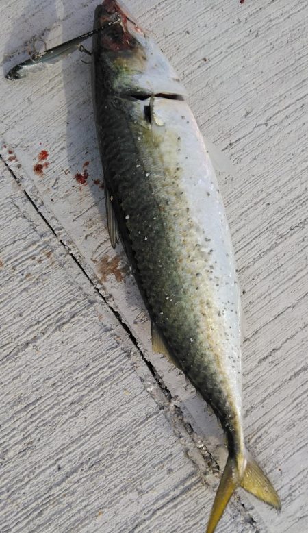 ラストスパート