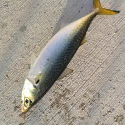 イライラを押さえて！