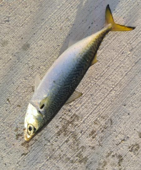 イライラを押さえて！