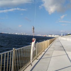 爆風の中でも、あいつが･･･！