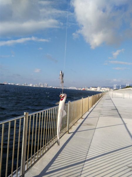 爆風の中でも、あいつが･･･！