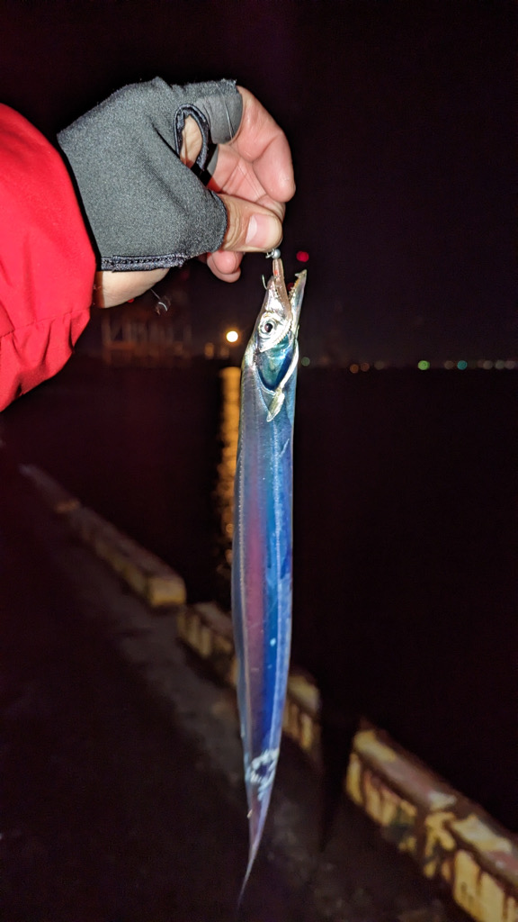 アジングでコイツ