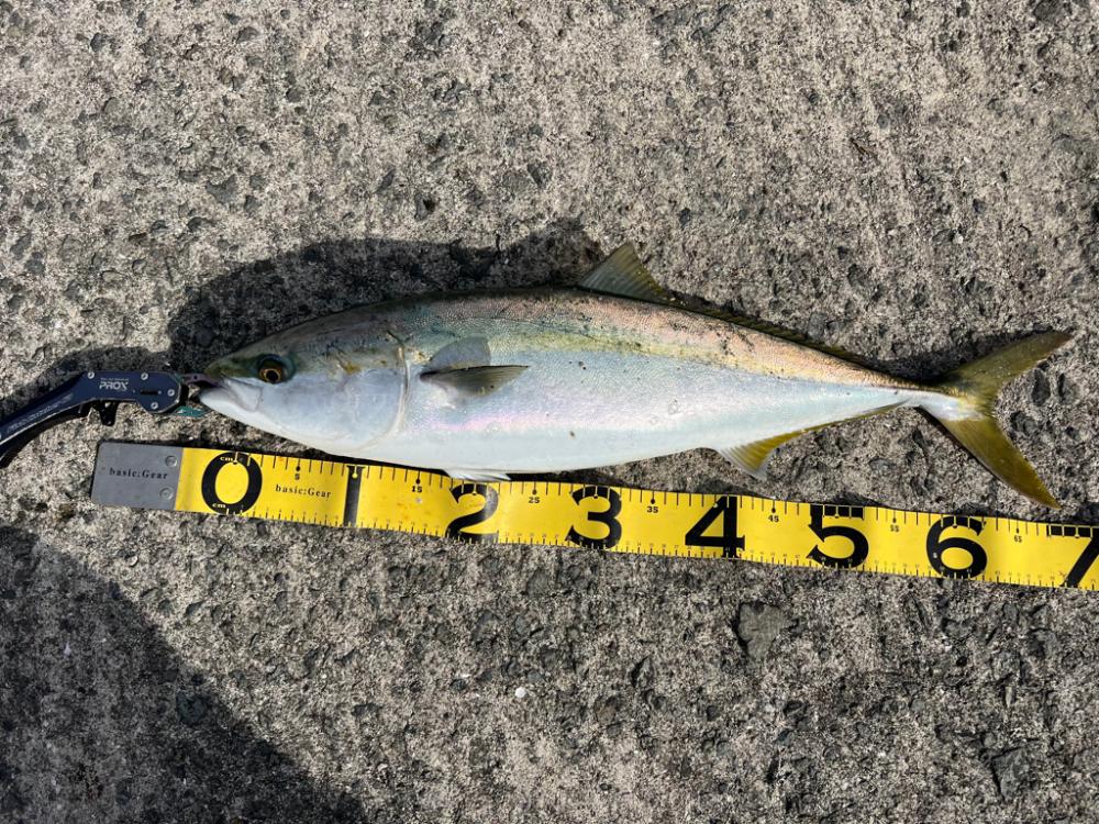 帰り支度をしていると