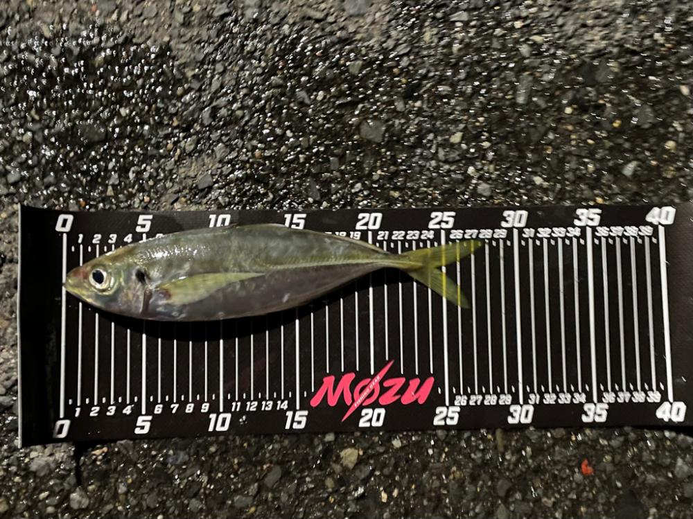 普段使わないカラー