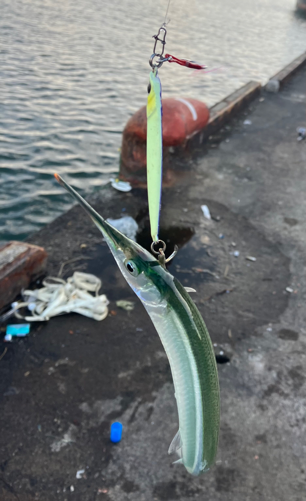 大阪都市部リバーブルー