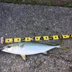 期待とは裏腹に…