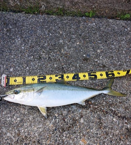 期待とは裏腹に…