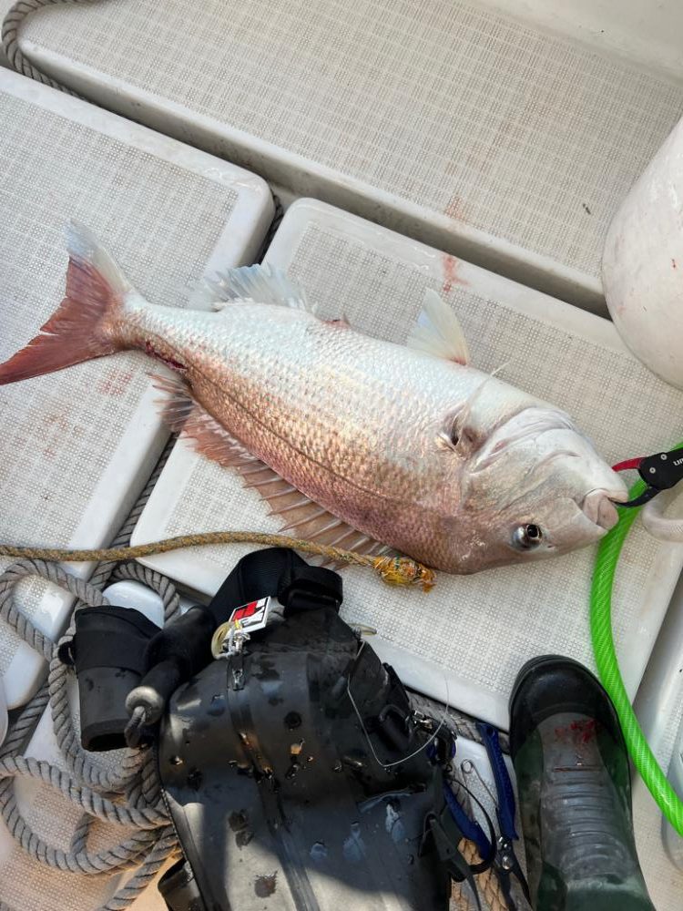 コレ横綱が持つやつ!!