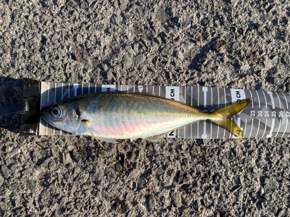 アから始まりジで終わる