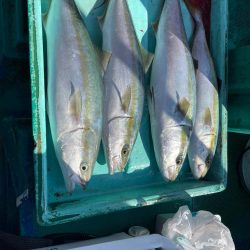 明石よりイカノマセで青物狙い