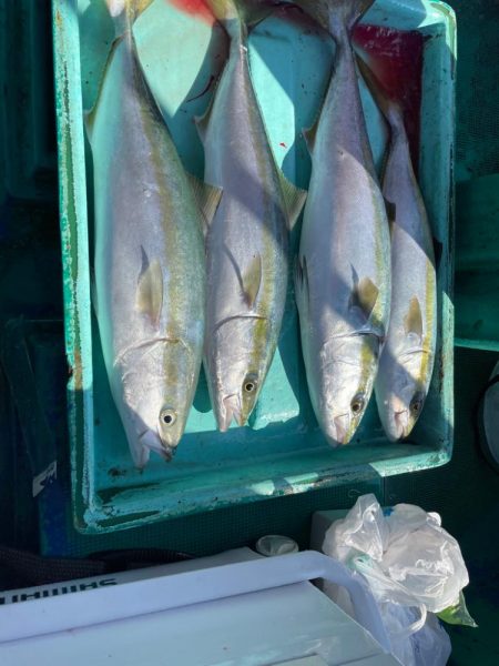 明石よりイカノマセで青物狙い