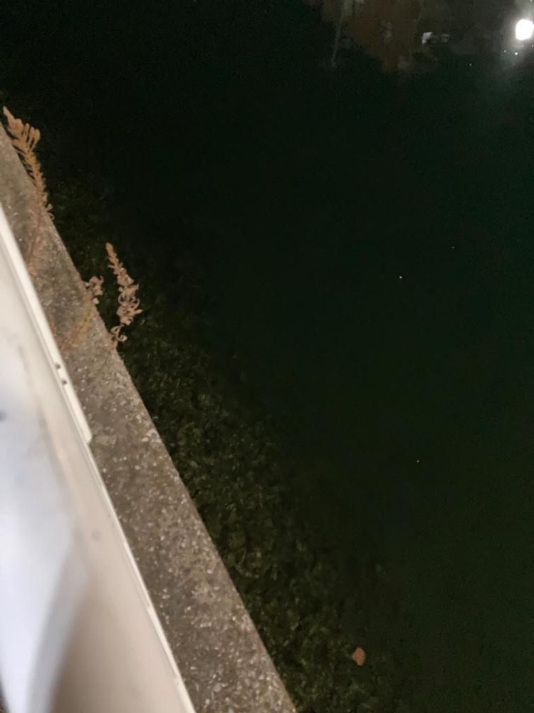 熱海釣れず！でハゼ釣りへ。。。