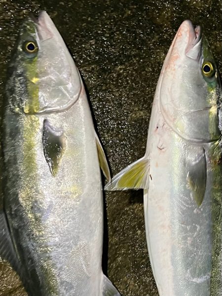 夕まずめの一発勝負