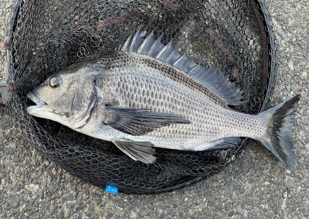 今年最後の釣り。