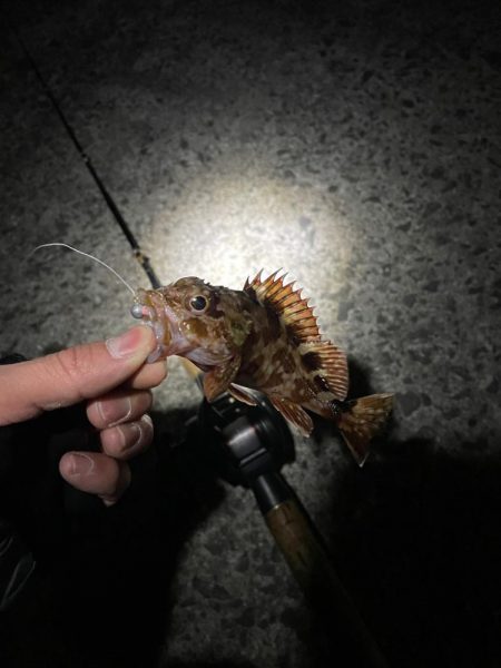 深夜に2022年釣り納め行ってきました