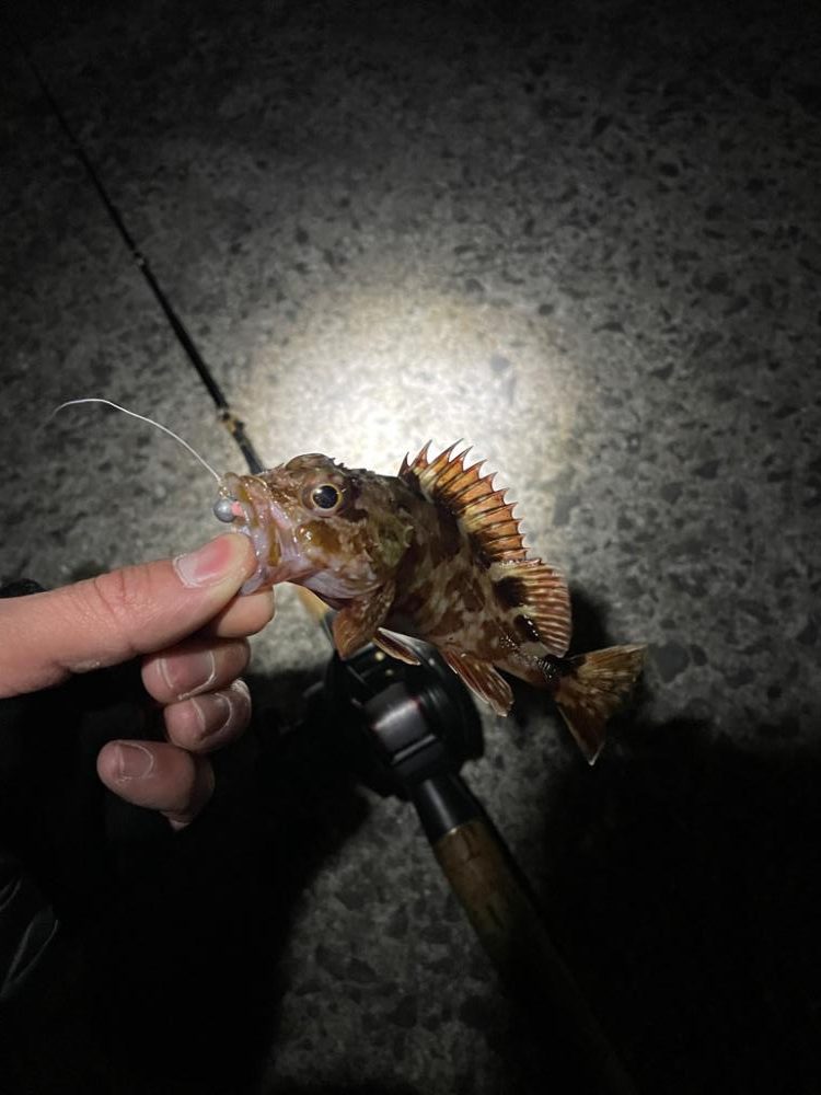 深夜に2022年釣り納め行ってきました