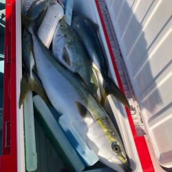 伊勢湾ジギングで釣り納め