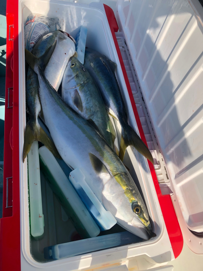 伊勢湾ジギングで釣り納め